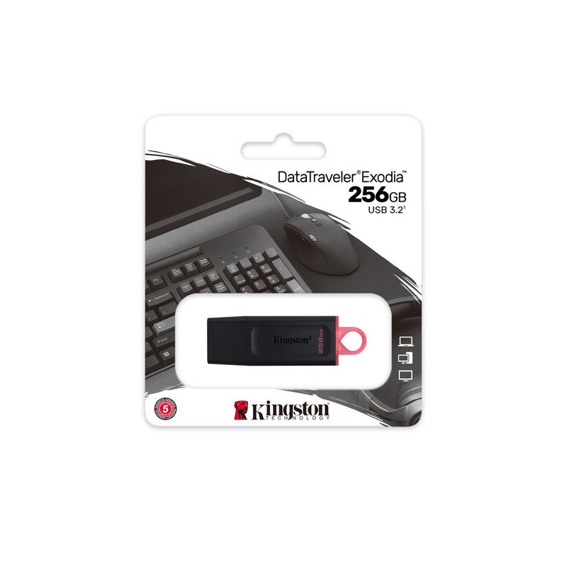 MEMORIA FLASH KINGSTON 256 GB USB 3.2 GEN 1 (DTX/256GB)