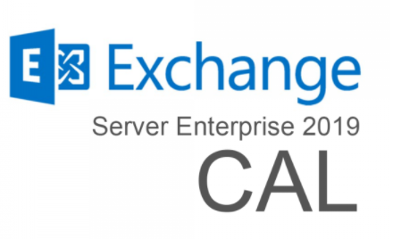 MICROSOFT CSP EXCH SVR ENTP USER CAL 2019 PERPETUO(DG7GMGF0F4MD-0004)