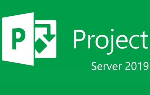 MICROSOFT CSP PROJECT SERVER CAL 2019 PERPETUO (DG7GMGF0F4LF-0001)