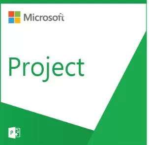 MICROSOFT CSP PROJECT STANDARD 2021 PERPETUO (DG7GMGF0D7D8-0001)