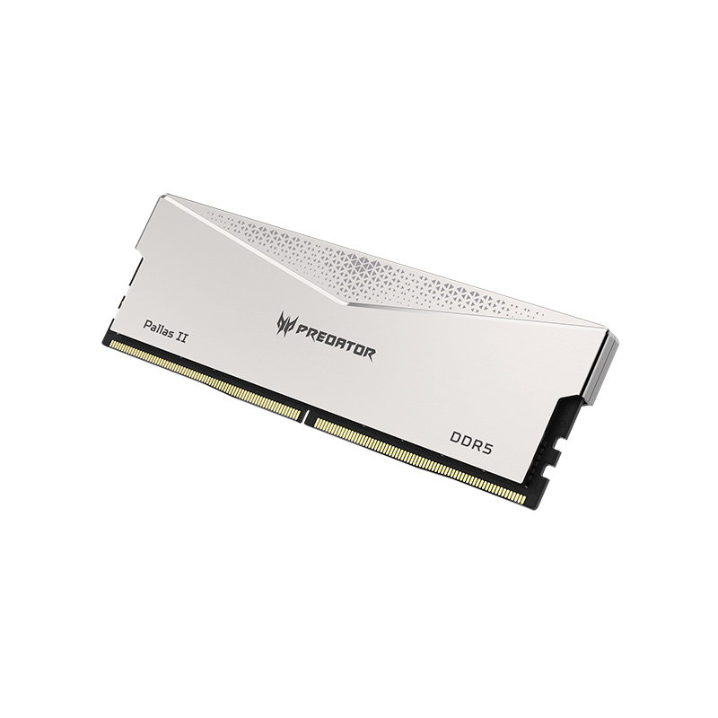 MEMORIA DDR5 PREDATOR PALAS II 32GB (2X16) 6400MHZ CL32 (BL.9BWWR.375)