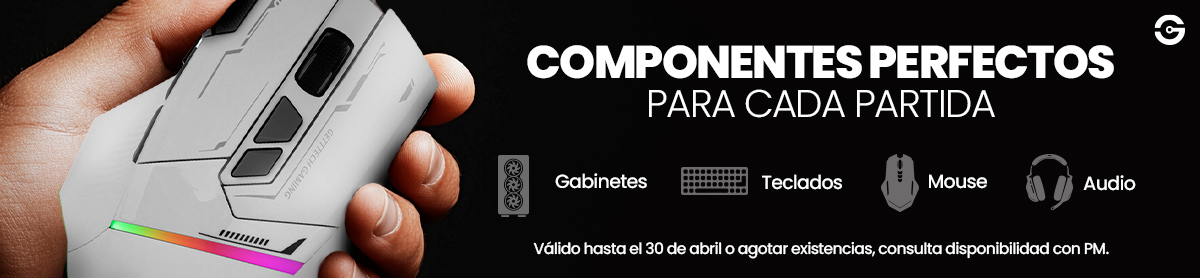 COMPONENTES GAMING
